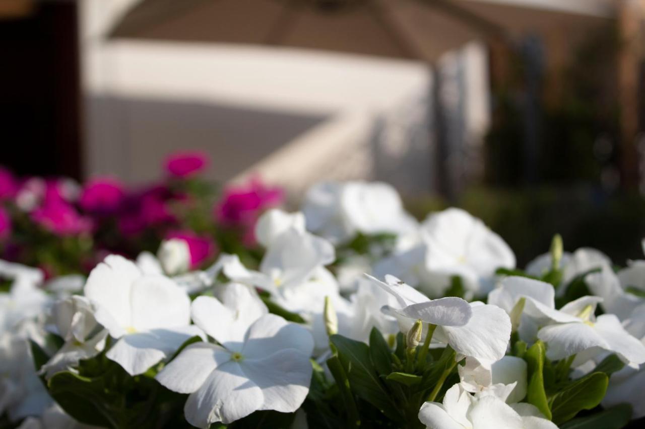 Relais Villa Montedonzelli Neapol Exteriér fotografie